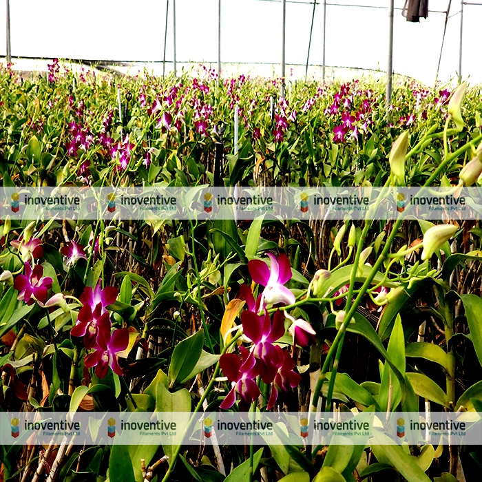 Agrosia PET Wire: Unveiling the Future of Floriculture